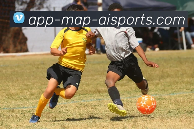 爱体育APP平台生态图